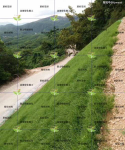 边坡绿化设计，生态修复新方案，打造绿色安全屏障