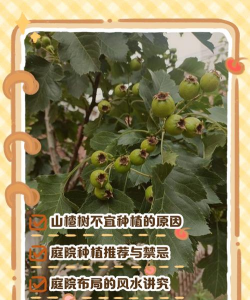 别墅园林绿化设计，打造私密空间，提升居住品质