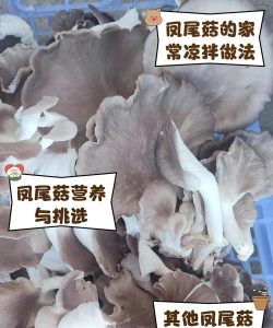 别墅园林绿化设计，打造私密空间，提升居住品质