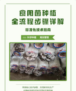 绯花玉怎么养，掌握关键技巧，轻松养出好状态