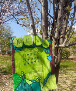 芍药花怎么养，掌握关键要点，花开更鲜艳