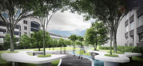 校园绿化设计，提升学习环境，打造绿色空间