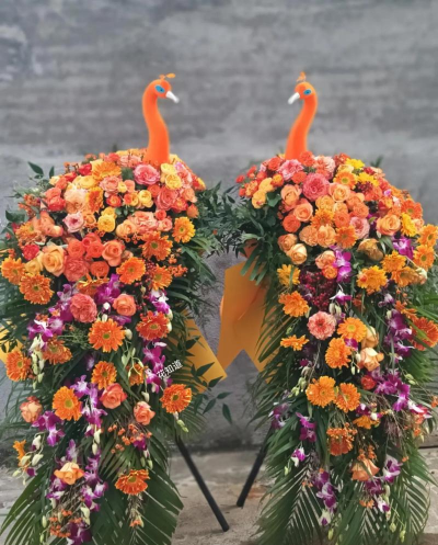 牧丹花怎么养，掌握浇水技巧，轻松养活不烂根