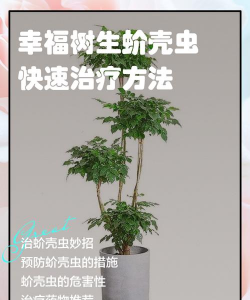 牧丹花怎么养，掌握浇水技巧，轻松养活不烂根