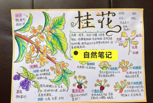 栽培的意思，核心概念，通俗理解