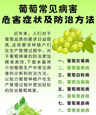 栽培的意思，核心概念，通俗理解