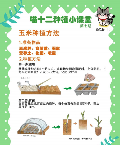 耕作与栽培，提升产量，掌握关键技巧