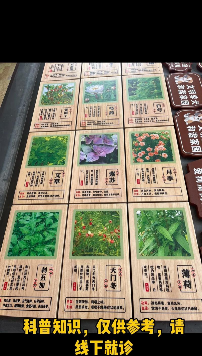 海棠花的栽培，选对品种很关键，掌握技巧不费力