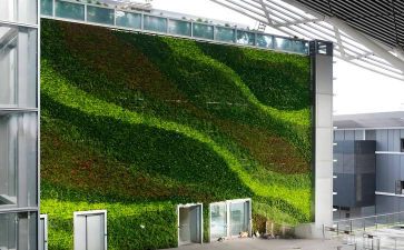 海棠花的栽培，选对品种很关键，掌握技巧不费力