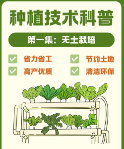 海棠花的栽培，选对品种很关键，掌握技巧不费力