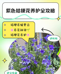 海棠花的栽培，选对品种很关键，掌握技巧不费力