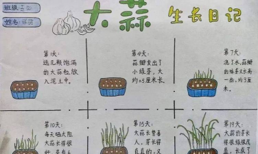 无土栽培图片，技术要点，种植过程