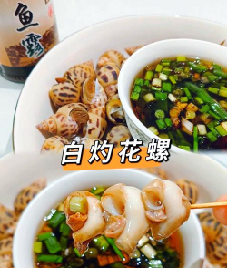 菊花栽培与管理技术，轻松掌握种植要点，打造美丽花园