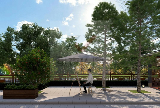 夏天防治树太阳暴晒，实用方法分享，让树木安然度夏