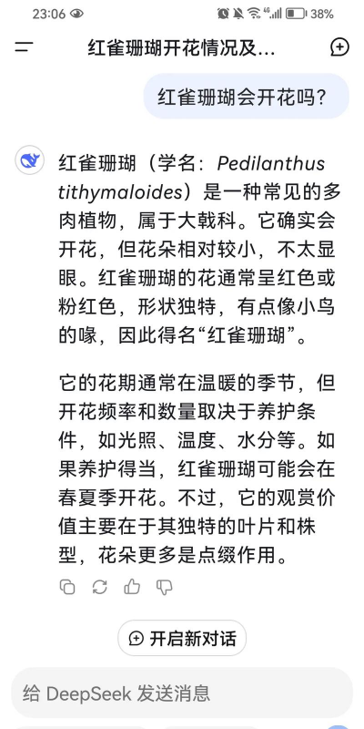 夏天防治树太阳暴晒，实用方法分享，让树木安然度夏