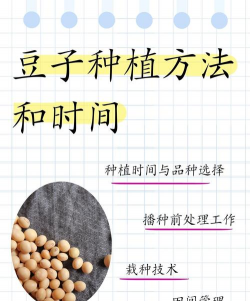 龙眼树臭椿虫防治技术，识别虫害特征，掌握防治时机