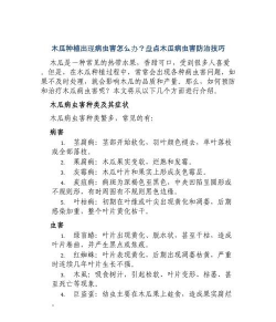 桂花树怎么种植，掌握关键步骤，轻松养出满园香