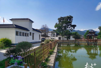 桂花树怎么种植，掌握关键步骤，轻松养出满园香