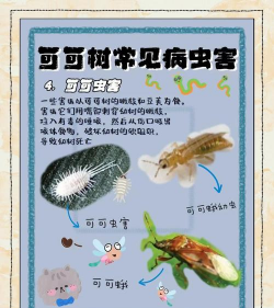 桂花树怎么种植，掌握关键步骤，轻松养出满园香