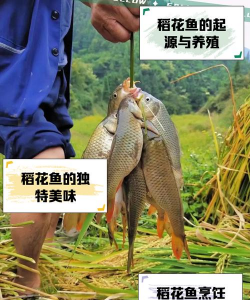 绿化网站设计，提升用户体验，打造生态友好界面