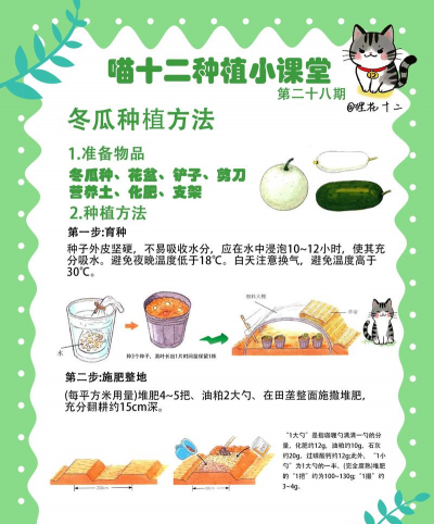 绿化网站设计，提升用户体验，打造生态友好界面