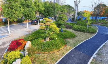 果树栽培学实习报告，实习内容实践经验分享