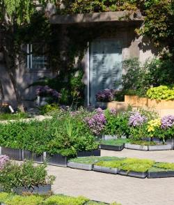 果树栽培学实习报告，实习内容实践经验分享