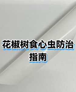 果树栽培学实习报告，实习内容实践经验分享