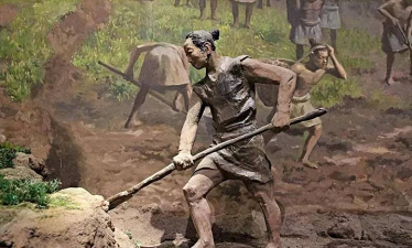 桂花树怎么种植，掌握关键步骤，轻松养出满园香