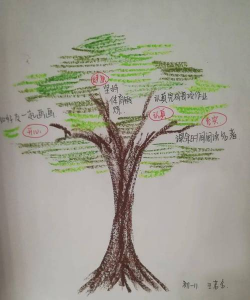 桂花树怎么种植，掌握关键步骤，轻松养出满园香