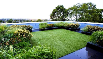 桂花树怎么种植，掌握关键步骤，轻松养出满园香