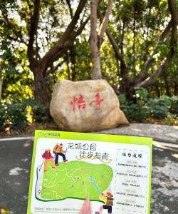 山楂树害虫天牛防治，识别关键特征，掌握有效方法