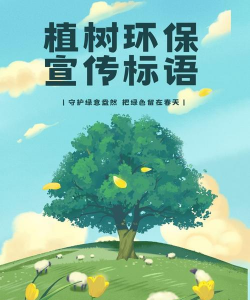 菊花栽培与管理技术，轻松掌握种植要点，打造美丽花园