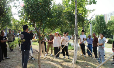 牧丹花怎么养，掌握浇水技巧，轻松养活不烂根