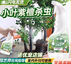 牧丹花怎么养，掌握浇水技巧，轻松养活不烂根