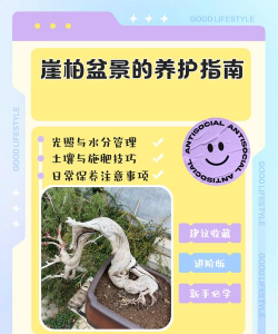 牧丹花怎么养，掌握浇水技巧，轻松养活不烂根