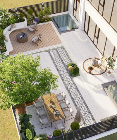 金冠花怎么养，掌握关键技巧，轻松爆盆开花