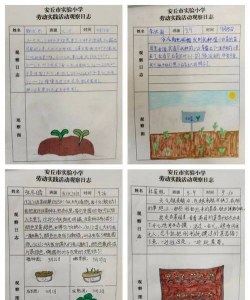 果树栽培学实习报告，实习内容实践经验分享