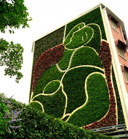 春雷霉素防治柿树病吗，了解适用病害，掌握正确用法