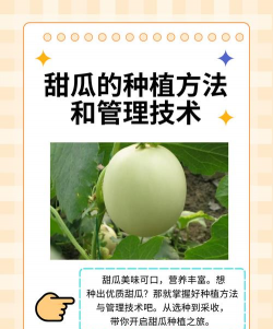 春雷霉素防治柿树病吗，了解适用病害，掌握正确用法