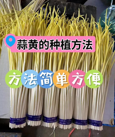 春雷霉素防治柿树病吗，了解适用病害，掌握正确用法