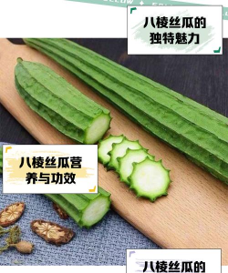 桂花树怎么种植，掌握关键步骤，轻松养出满园香