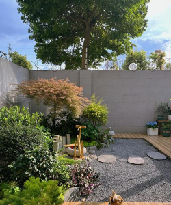 桂花树怎么种植，掌握关键步骤，轻松养出满园香