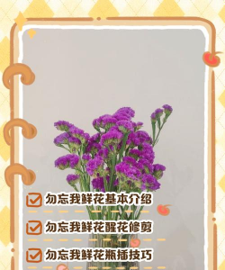 桂花树怎么种植，掌握关键步骤，轻松养出满园香