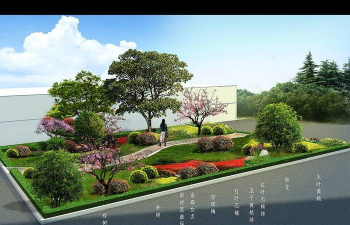 山楂树害虫天牛防治，识别关键特征，掌握有效方法