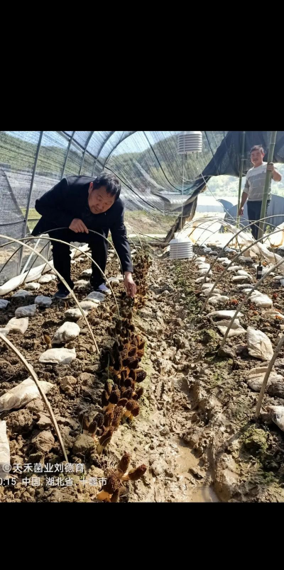 洋桔梗花怎么水养，延长花期，保持鲜艳