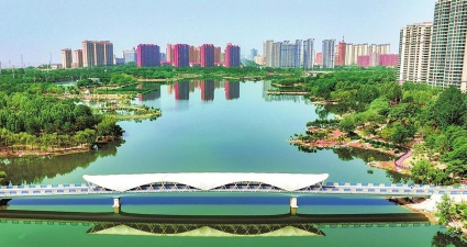 洋桔梗花怎么水养，延长花期，保持鲜艳