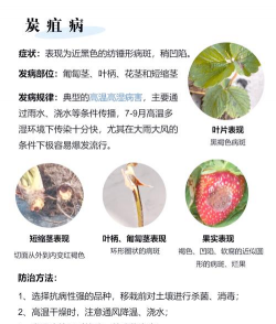 绿化网站设计，提升用户体验，打造生态友好界面