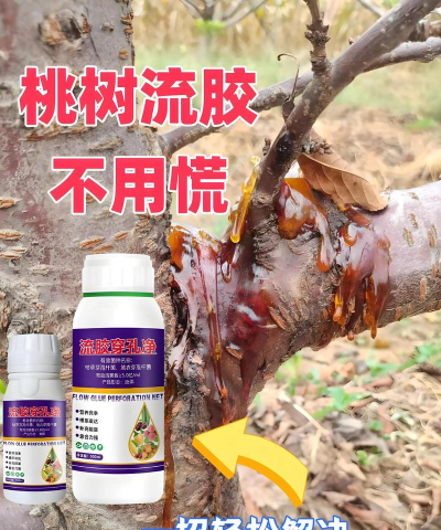 绿化网站设计，提升用户体验，打造生态友好界面