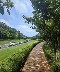 绿化网站设计，提升用户体验，打造生态友好界面